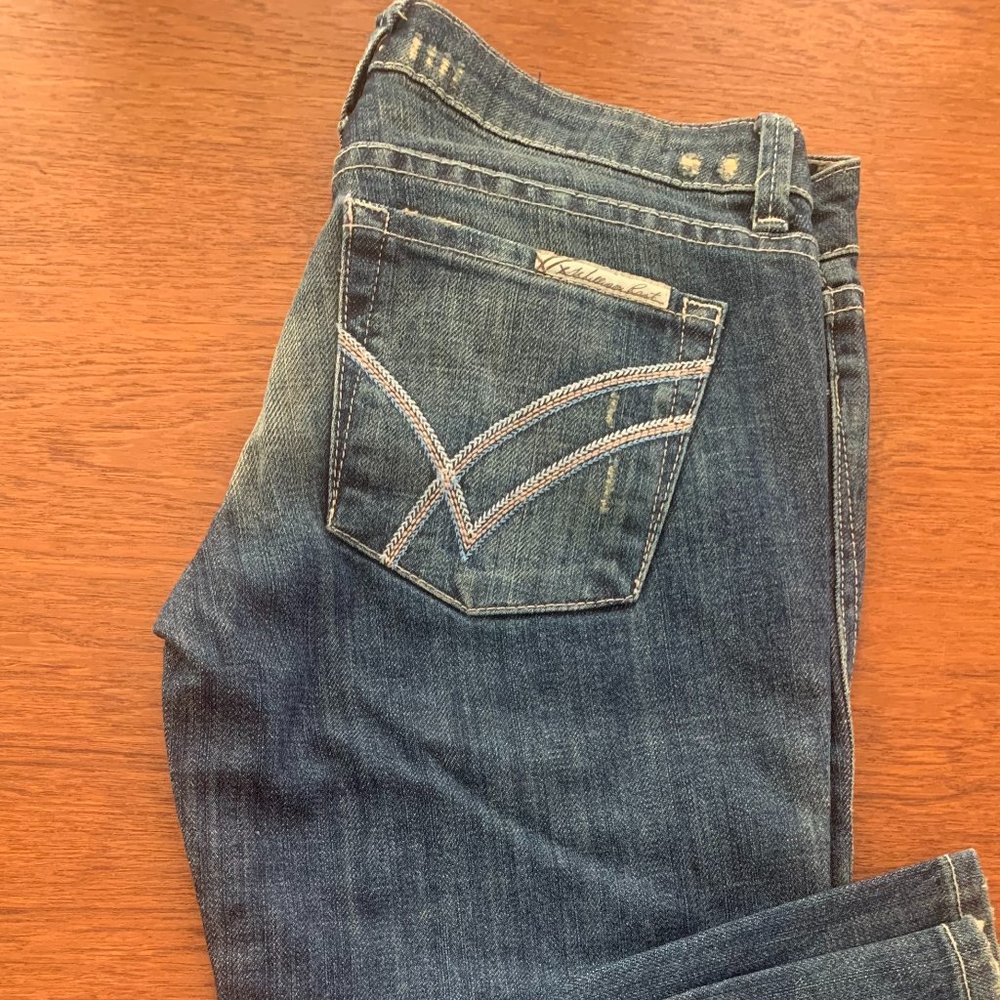 Vintage Low-rise William Rast Flare Jeans - Size 25